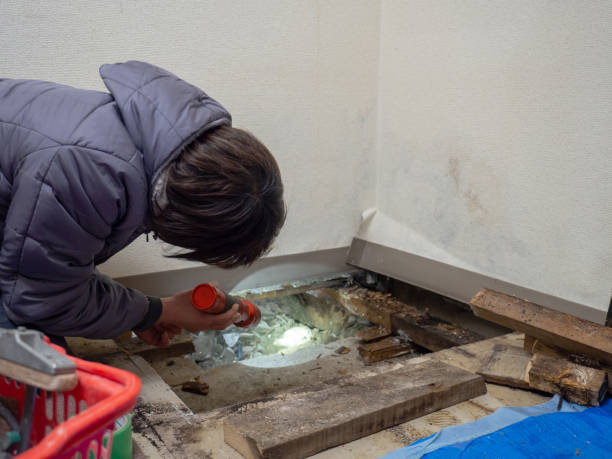 Best Mold Remediation for Vacation Homes  in Green Hill, TN
