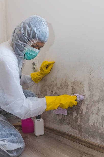 Best Industrial Mold Remediation  in Green Hill, TN