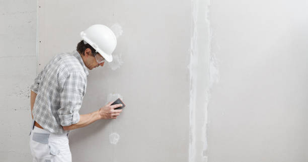 Best Environmental Consulting for Mold Prevention  in Green Hill, TN