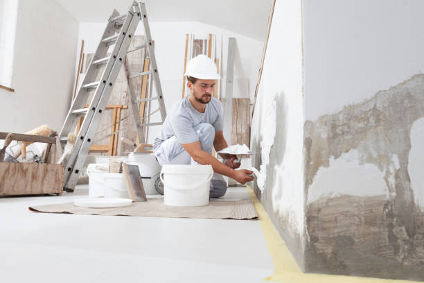 Best Black Mold Removal  in Green Hill, TN