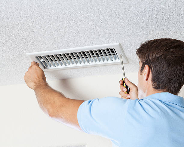Best Mold Remediation for Rental Properties  in Green Hill, TN