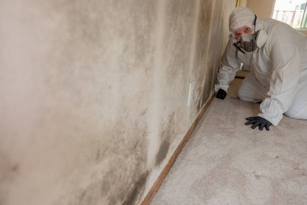 Best Attic Mold Removal  in Green Hill, TN